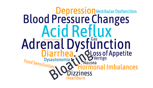 Symptoms of Post-Concussion Gastrointestinal Dysfunction: Depression, Blood Pressure Changes, Acid Reflux, Diarrhea, Bloating, Food sensitivities, Heartburn, Hormonal Imbalance, Vertigo, Loss of Appetite, Gas, Nausea, etc.