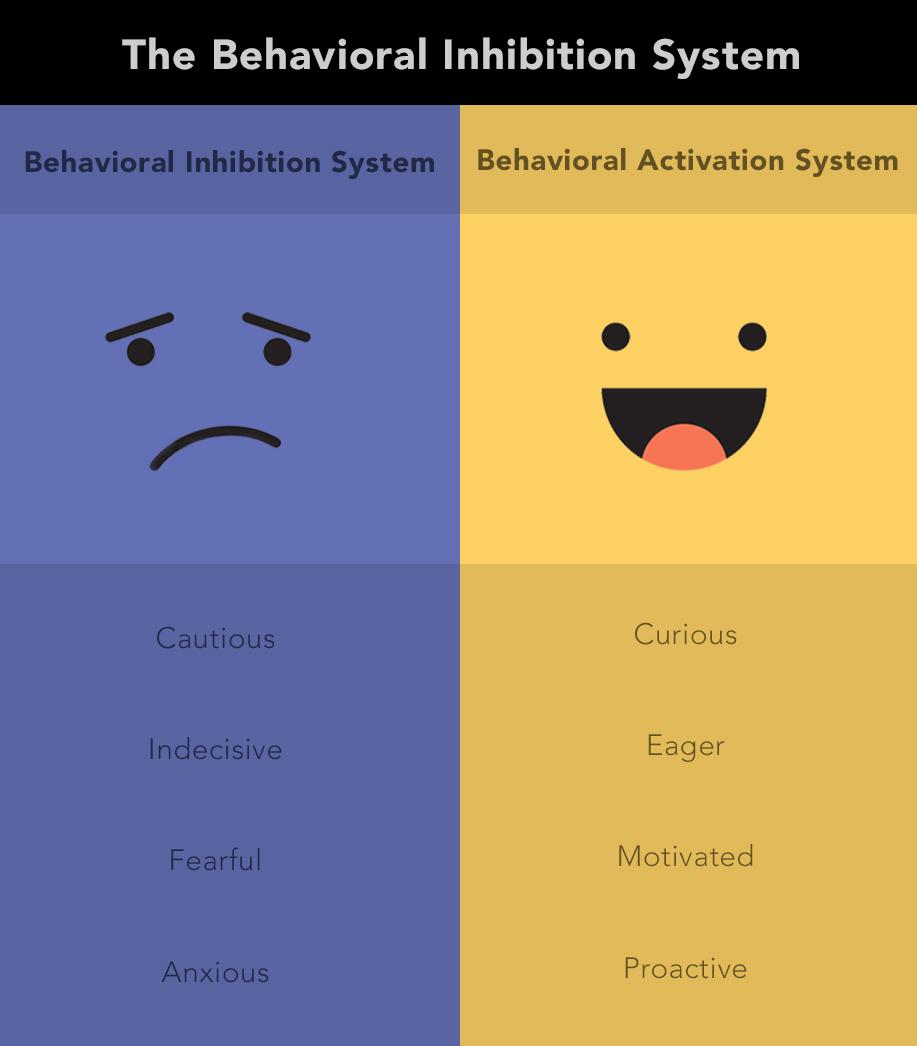 Depression After a Concussion Cognitive FX