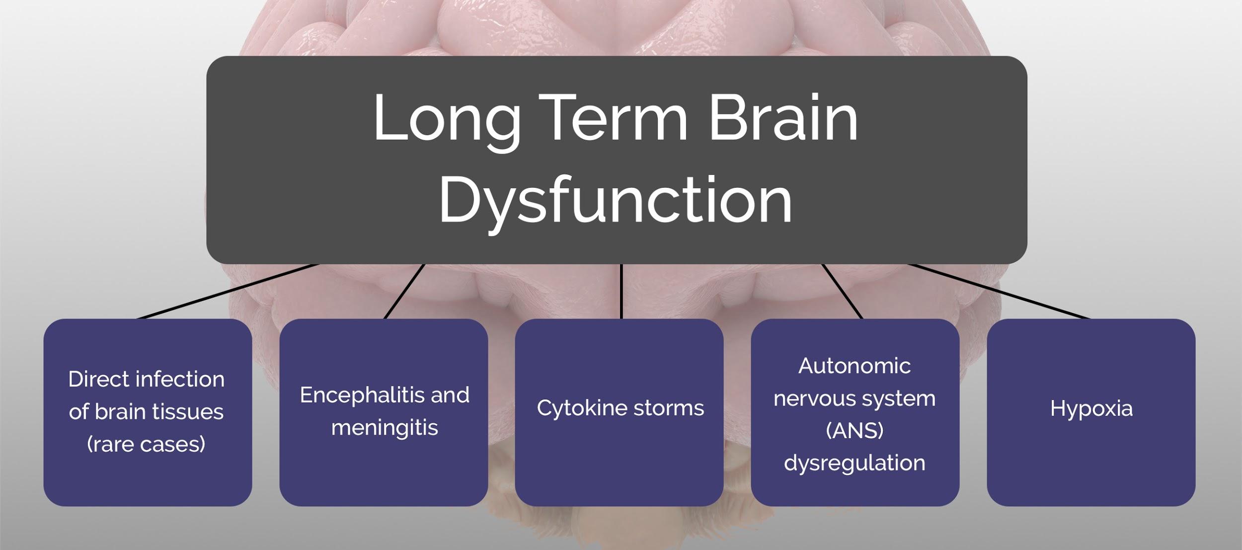 Long-Term Effects Of COVID-19 On The Brain | CognitiveFX