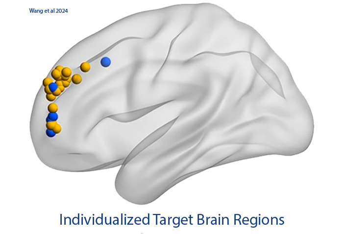 Brain Regions 1